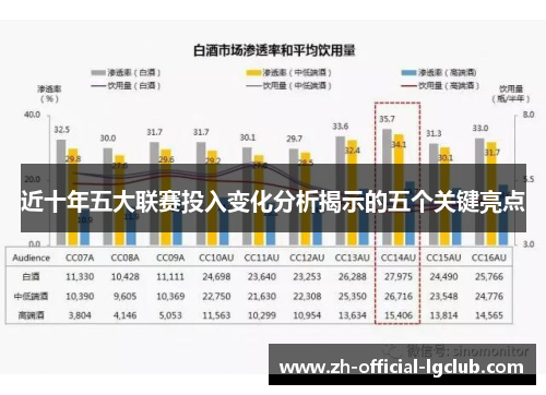 近十年五大联赛投入变化分析揭示的五个关键亮点 近十年五大联赛投入变化分析揭示的五个关键亮点