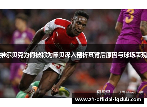 维尔贝克为何被称为黑贝深入剖析其背后原因与球场表现