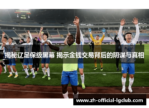 揭秘辽足保级黑幕 揭示金钱交易背后的阴谋与真相